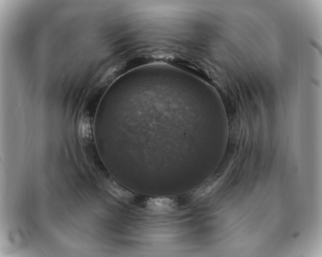 X0000091290137200708171354