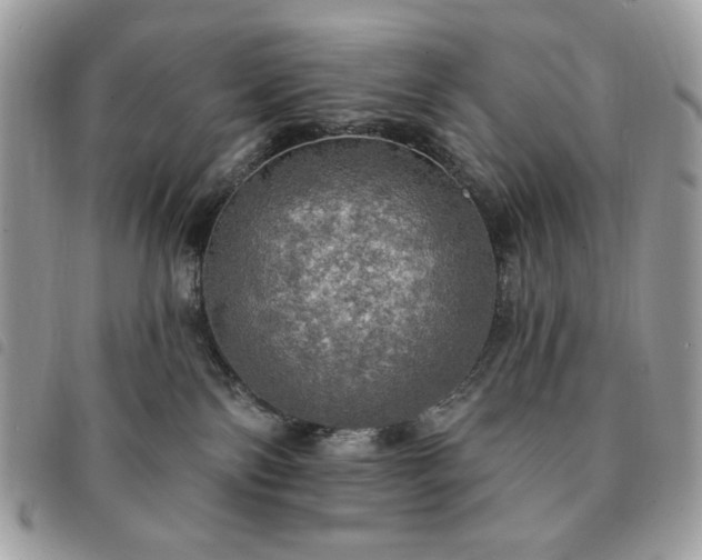 X0000091290138200708171354