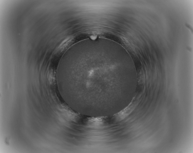 X0000091290140200708171354