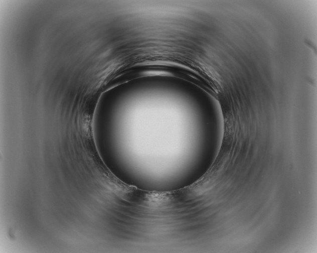 X0000091290141200708171354