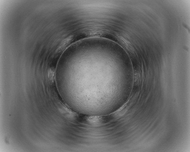 X0000091290142200708171354