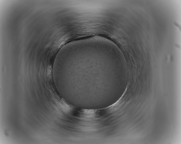 X0000091290144200708171354