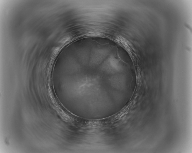 X0000091290145200708171353