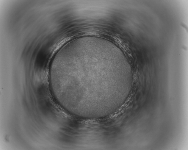 X0000091290146200708171353