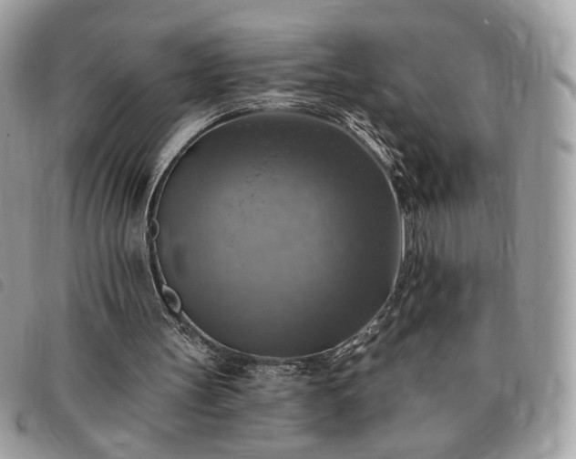 X0000091290147200708171353