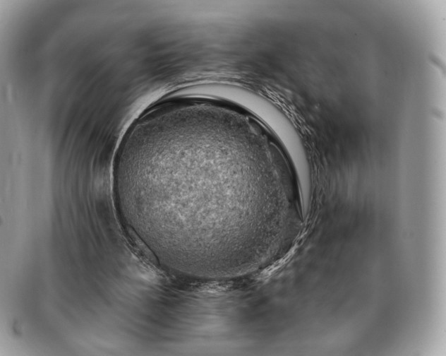 X0000091290148200708171353