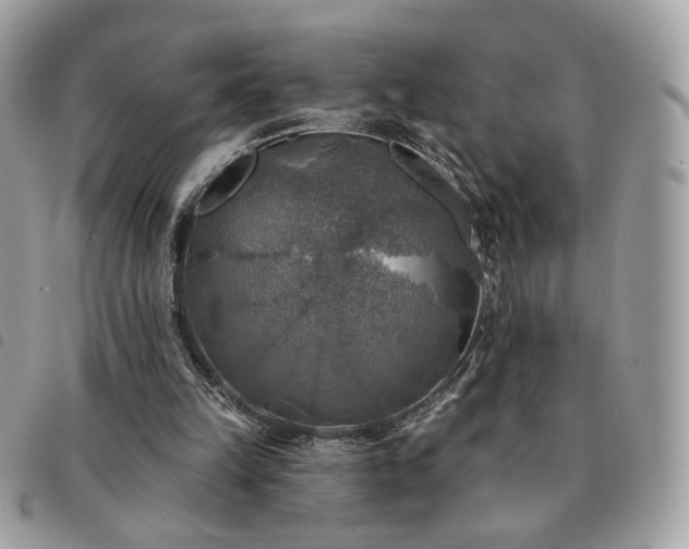 X0000091290149200708171353