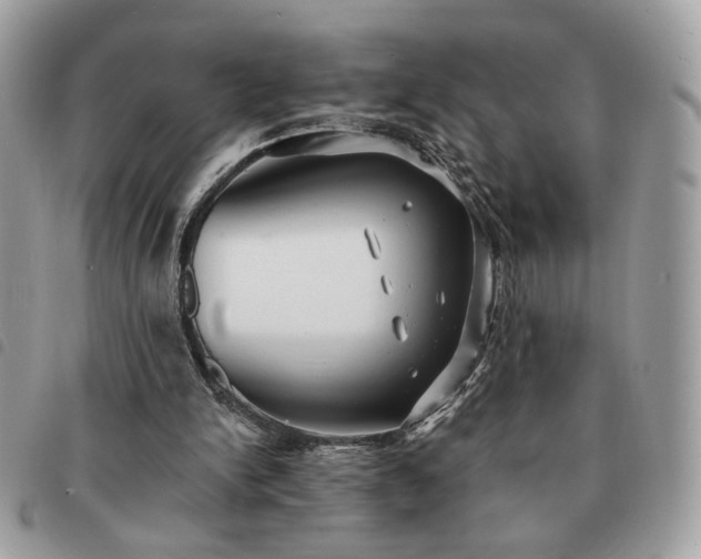 X0000091290150200708171353