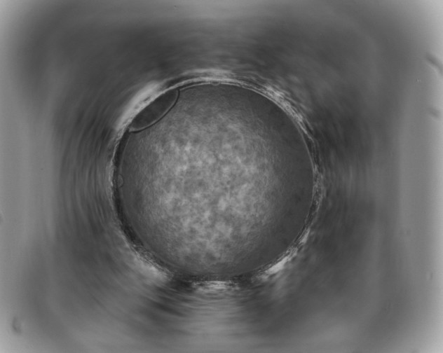 X0000091290151200708171353