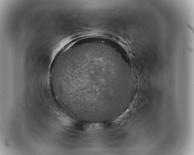 X0000091290152200708171353