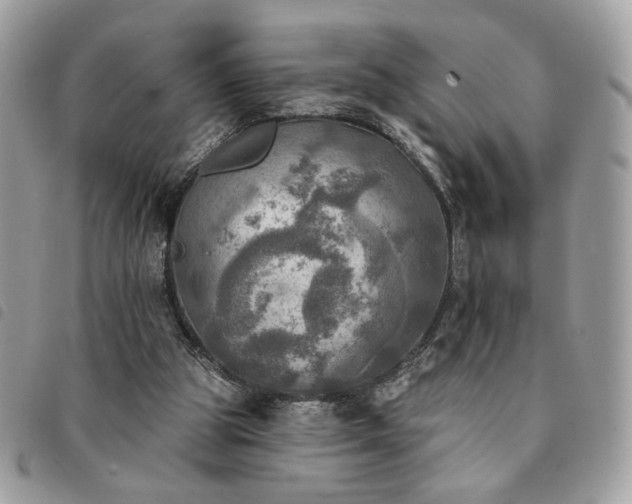 X0000091290153200708171353