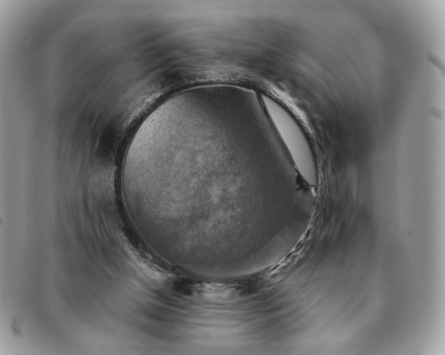 X0000091290154200708171353