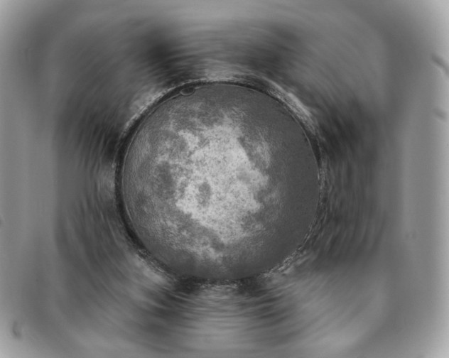 X0000091290155200708171353