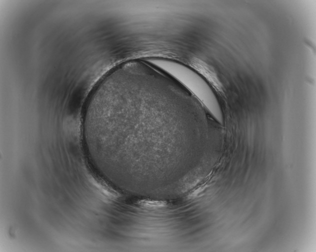 X0000091290156200708171353