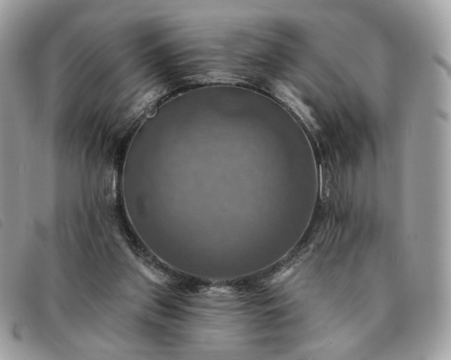 X0000091290157200708171354