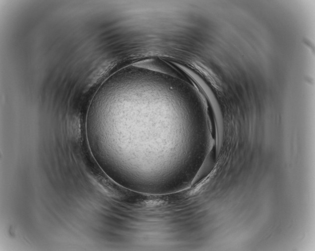 X0000091290158200708171354