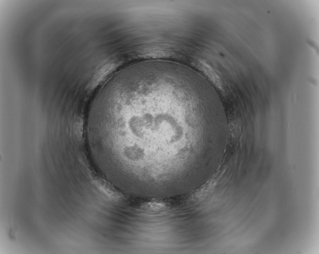 X0000091290159200708171354