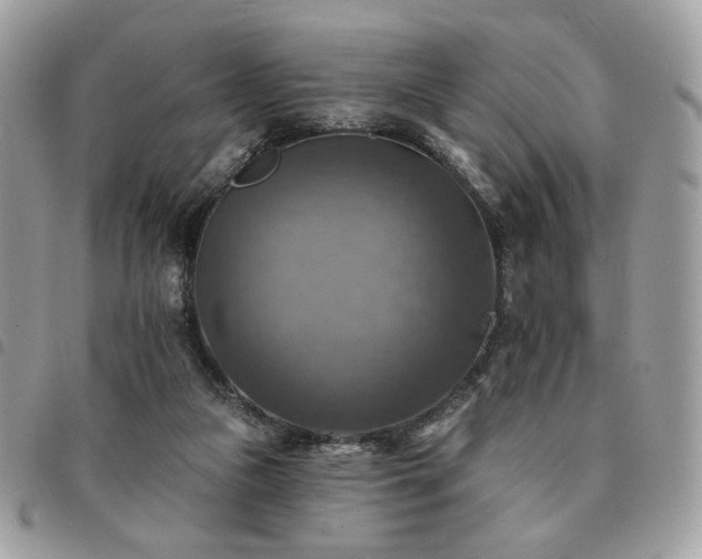 X0000091290161200708171354