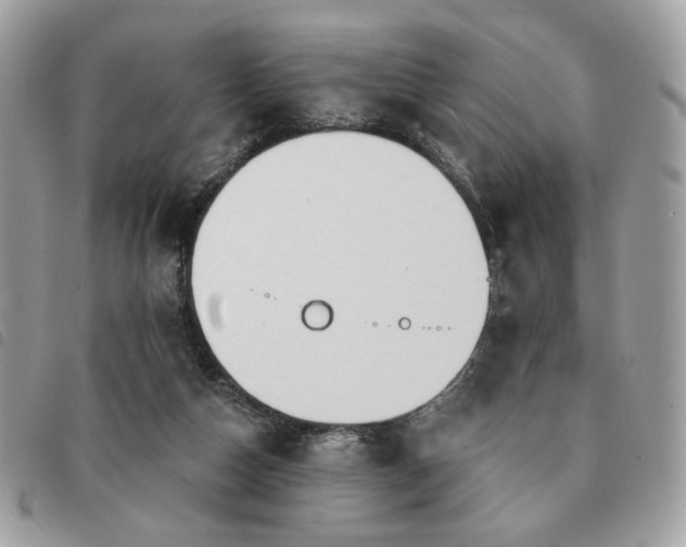 X0000091290162200708171354