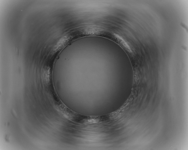 X0000091290163200708171354