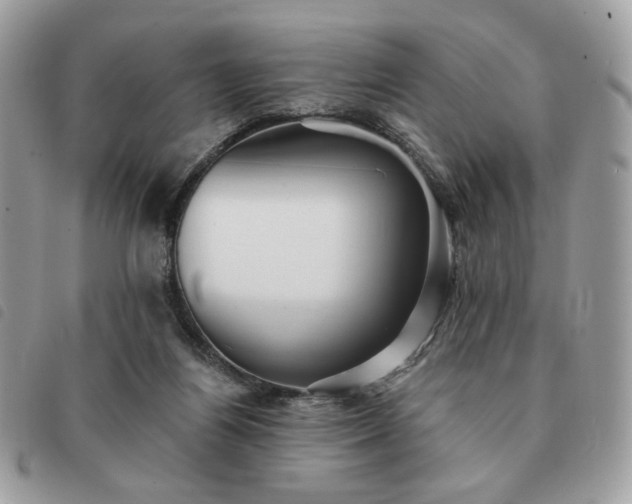 X0000091290164200708171354