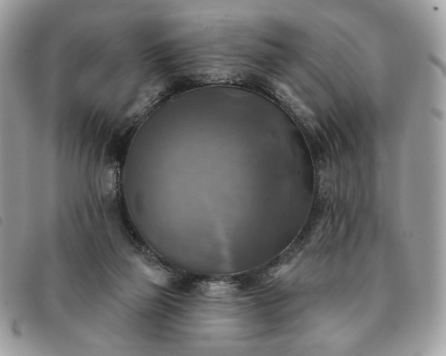 X0000091290165200708171354