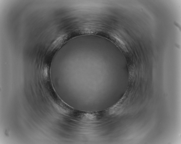 X0000091290166200708171354