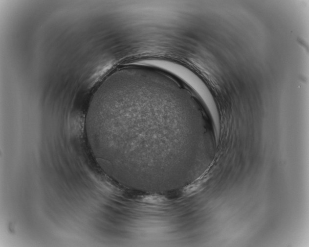 X0000091290168200708171354