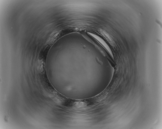 X0000091290169200708171354