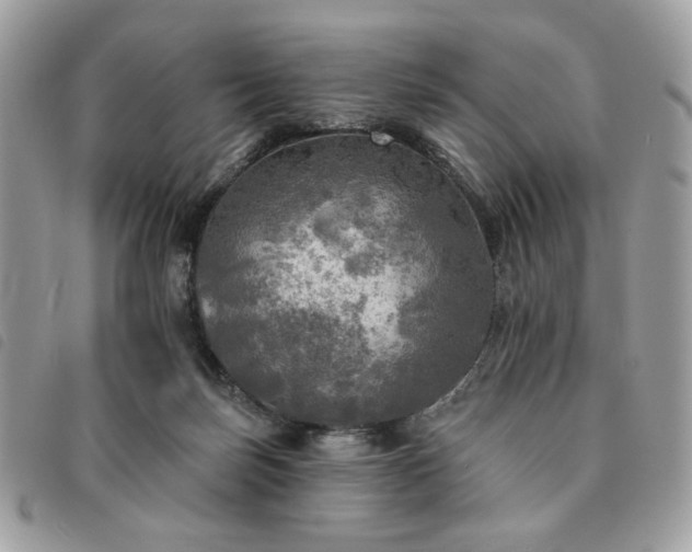 X0000091290171200708171354