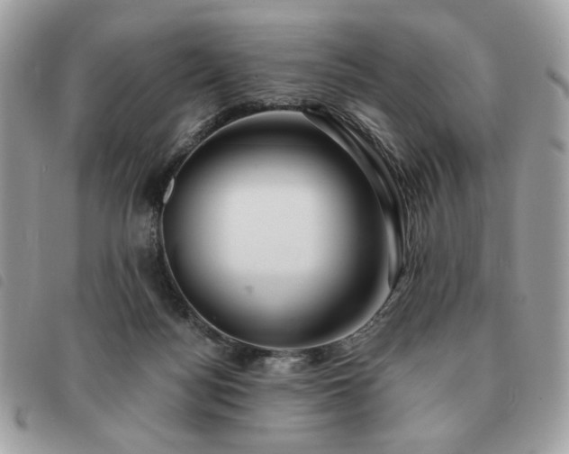 X0000091290172200708171354