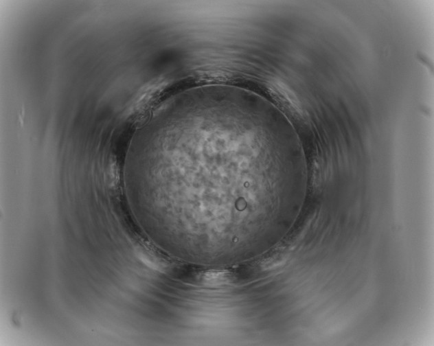 X0000091290173200708171354