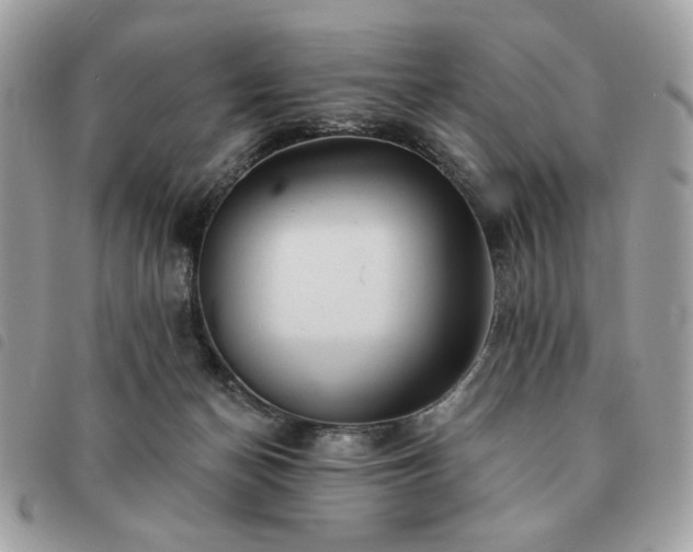 X0000091290174200708171354