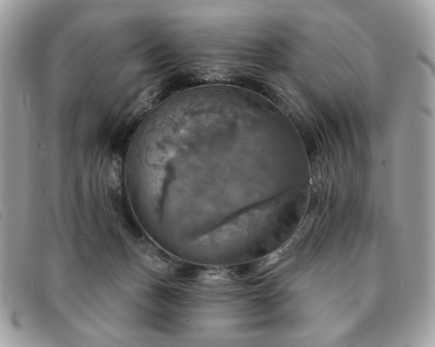 X0000091290175200708171354