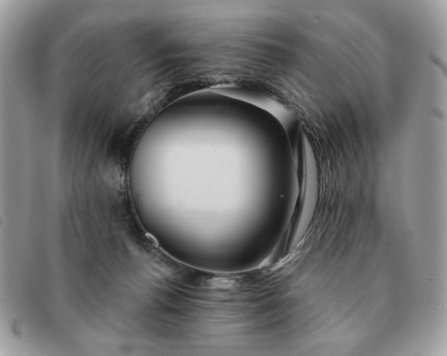 X0000091290176200708171354