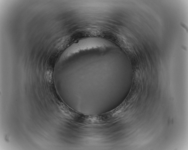 X0000091290177200708171354