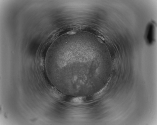 X0000091290178200708171354