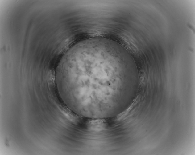 X0000091290179200708171354