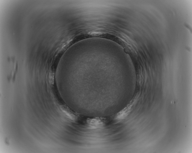 X0000091290180200708171354