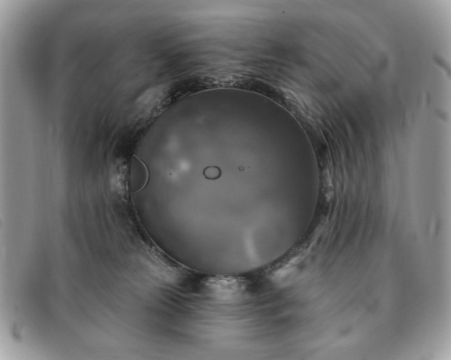 X0000091290181200708171354