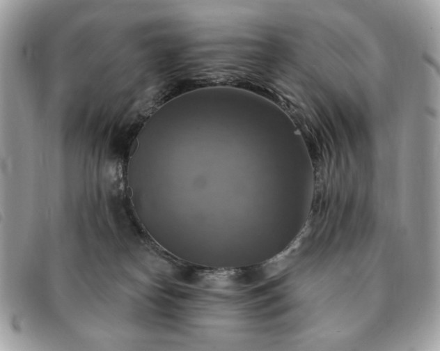 X0000091290182200708171354