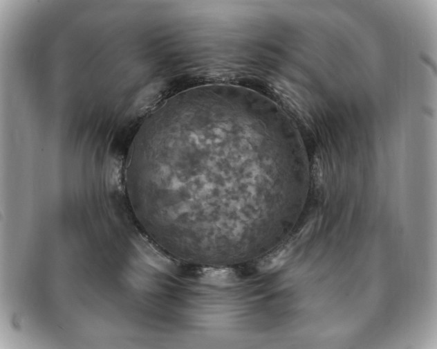 X0000091290185200708171354