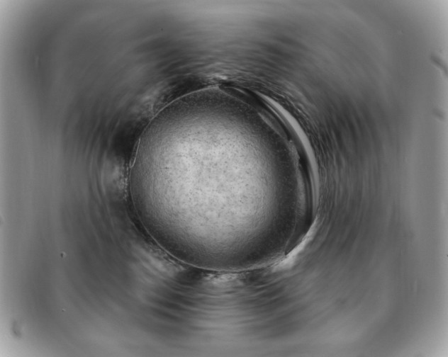 X0000091290186200708171354