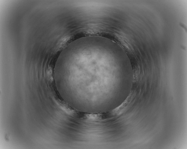 X0000091290187200708171354