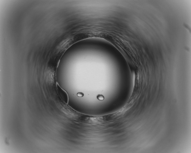 X0000091290188200708171354