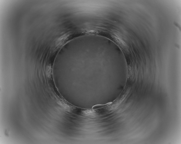 X0000091290189200708171354