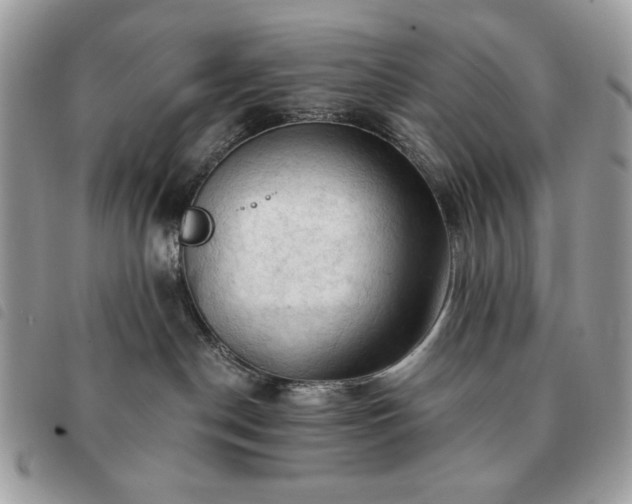 X0000091290190200708171354