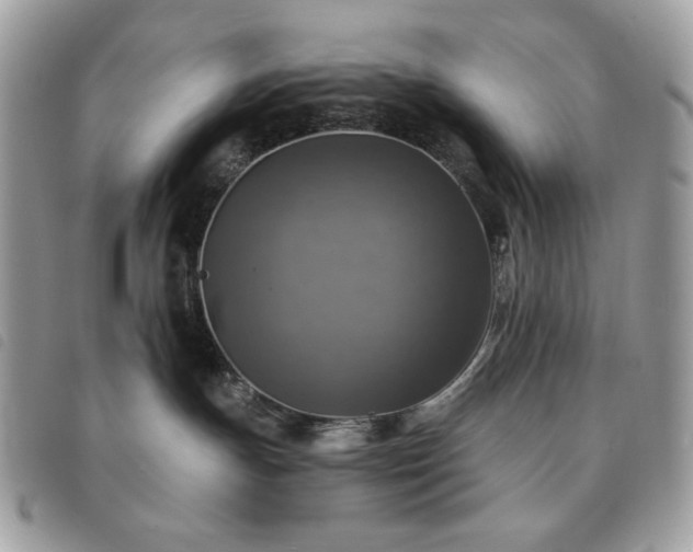 X0000091290191200708171354