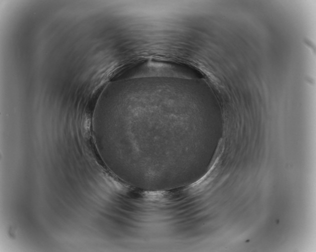 X0000091290192200708171354