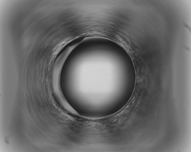 X0000091290193200708171353